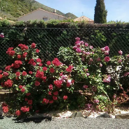 Alojamento de Acomodação e Pequeno-almoço La Vie En Rose, Chambres D'hôtes-